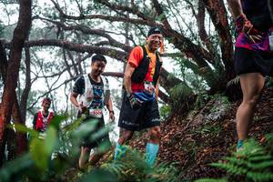 BIB: 
                            <button type="button" onclick="openModal(26295862)" class="btn btn-primary btn-sm float-right btn-popup" data-toggle="modal" data-target=".modal-high-quality">
                        <i class="fas fa-shopping-cart"></i> Add to Cart
                    </button>
                                            <button type="button" onclick="isThisMe(26295862, true)" class="btn btn-success btn-sm float-right btn-popup btn-isme hidden" data-toggle="tooltip" data-placement="bottom" title="นี่คือรูปของคุณใช่ไหม คลิกที่นี่เพื่อเอาเข้าอัลบั้ม">
                        <i class="fas fa-plus"></i> Add to album
                    </button>
                    <button type="button" onclick="isThisMe(26295862, false)" class="btn btn-warning btn-sm float-right btn-popup btn-isnotme hidden">
                        <i class="fas fa-ban"></i> Remove from album
                    </button>